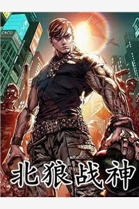 完整文集黄毛拉布拉多和边牧混血