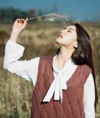 完整阅读夏青顾云亭