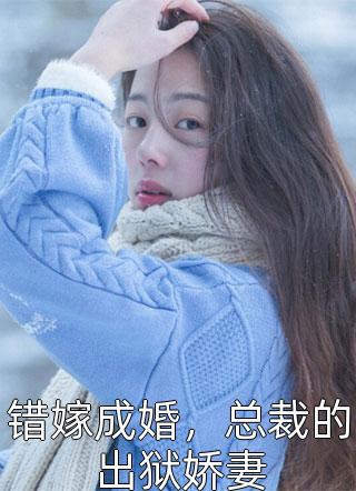 神圣之光优质全文