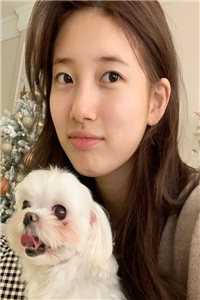 穿成六个反派大佬的恶毒后娘