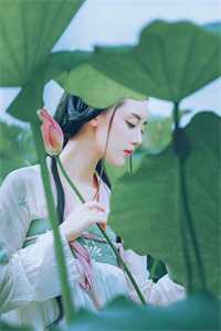 沈晚瓷薄荆舟到底是怎么样