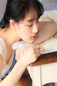 沈妤谢停舟是哪部小说人物