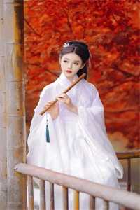 重生后,我在古代快乐淘宝