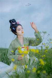 热门小说一宁夜辰洛如缨