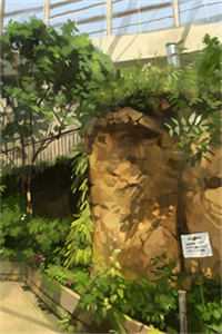 全能传承：都市小天师