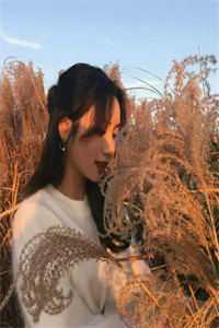 快穿：我靠生子系统宠冠后宫