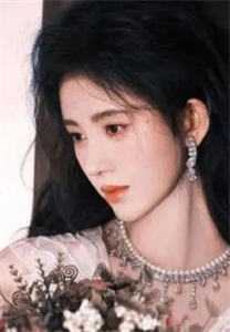 桑宁贺兰殷小说