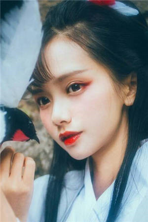 全集小说皇后娘娘出逃后，静看狗皇帝落马
