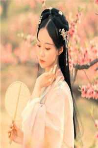 王爷每日一问，小妾今天宅斗了吗阅读全集