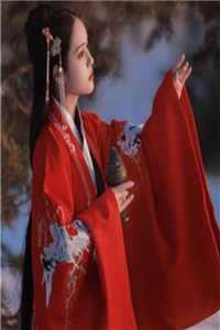 入梦权臣精品篇