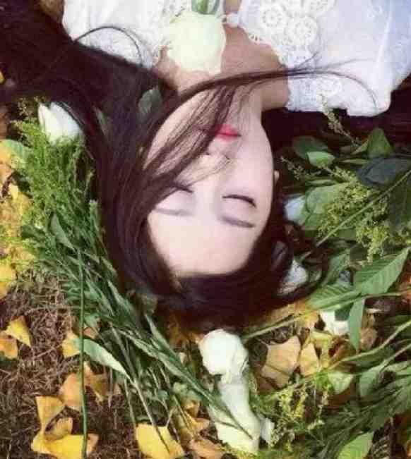 全本小说阅读捕鱼佬：夺命飞鱼
