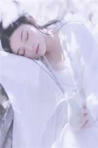 历史亡魂守国门，谁曰我大夏无人长篇小说