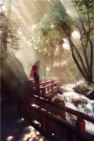 文章精选阅读四合院：别惹我，谁惹废谁