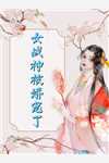 休夫后,全京城贵公子都求她再嫁优质全文