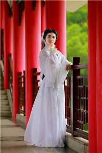 姐弟恋贼香，闪婚后老公宠我上天畅销小说