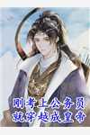 季总别虐了，舒小姐已嫁人优质全文阅读