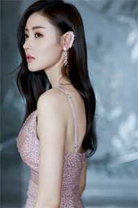 热门小说总裁大人接招吧