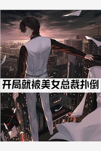 我的高冷女总裁老婆