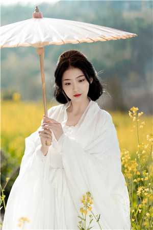 谢停舟沈妤280章