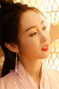 摄政王专宠小傻妃