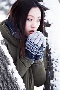 陆风屿
