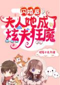 白隐大人与暗阁