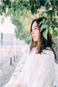精选篇章爱意转移