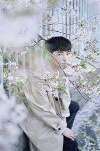 全章节阅读桐花若梦：王妃逃跑后，宠冠京都必读