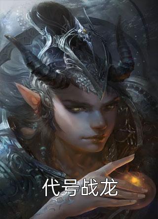 畅销小说推荐意外杀手