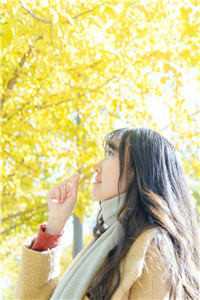 见囍全文章节