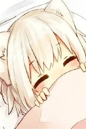 宋绮安沈惟清潜心更新