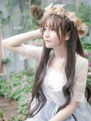 优质全文阅读两情若只如初见