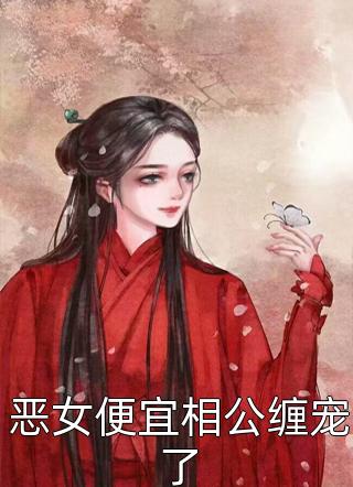 舒时吟萧君宴的小说长夜与风说