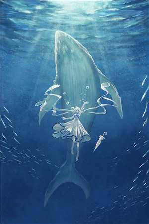 官途风云完结版李福海宋观潮