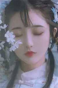 梧桐未见情深薄瑾言秦森宁完结版小说