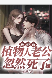 小说长夜与风说by舒时吟萧君宴
