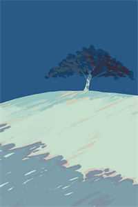 踏雪不负云和月完结版秦兆川苏瑾时