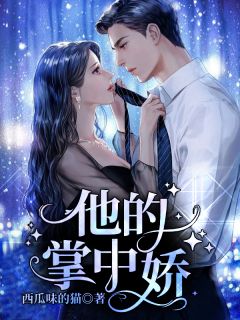 苏沫陆淮川写的小说她与爱皆失