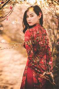 猛龙归来，美女请自重杨凡吴雪兰完结版小说