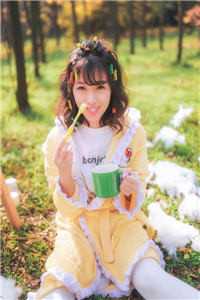 留不住雁阵南渡小说全文免费阅读