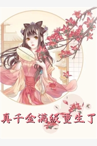 韶华尽全文版
