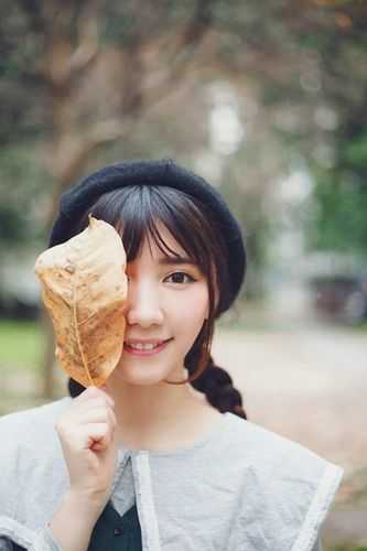 寿元满格，修仙的我麻了陆清安徐清莹完结版小说