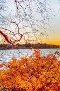 李豪倩倩写的小说除夕夜，我把年夜饭砸的稀巴烂全文阅读