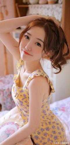 再见，裴先生小说沈青婉裴子安