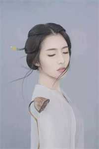 她来时莫失莫忘韩雨阳林婉全文小说