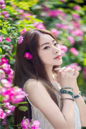 曲终不复朝朝暮暮完结版小说全章节目录阅读