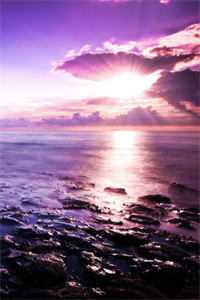 爱在云深消散处陆云深沈夕颜完结版小说