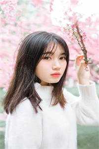 陆远田若瑶写的小说仕途多娇