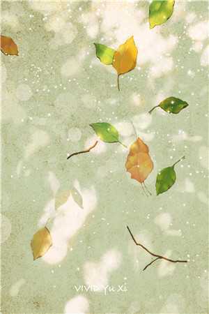 完结版小说疏雨梧桐浅月朦胧by孟祈年周晓晚