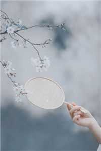 恰逢暮雪又白头热门小说江清雾季晏离